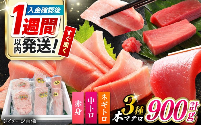 
            対馬産 本マグロ 3種 計900g（赤身/中トロ/ネギトロ）《対馬市》【対海】 冷凍配送 食べ比べ 贈り物 魚介類 [WAH029]
          
