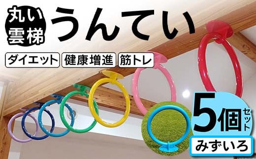 丸い 雲梯（うんてい） 5個セット ＜みずいろ＞ 雲梯 ウンテイ 健康 健康増進 ダイエット 筋トレ F21E-279