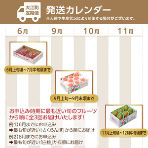 【発送月固定】山形旬彩！こだわりフルーツ定期便全３回Ｃ 063-T03