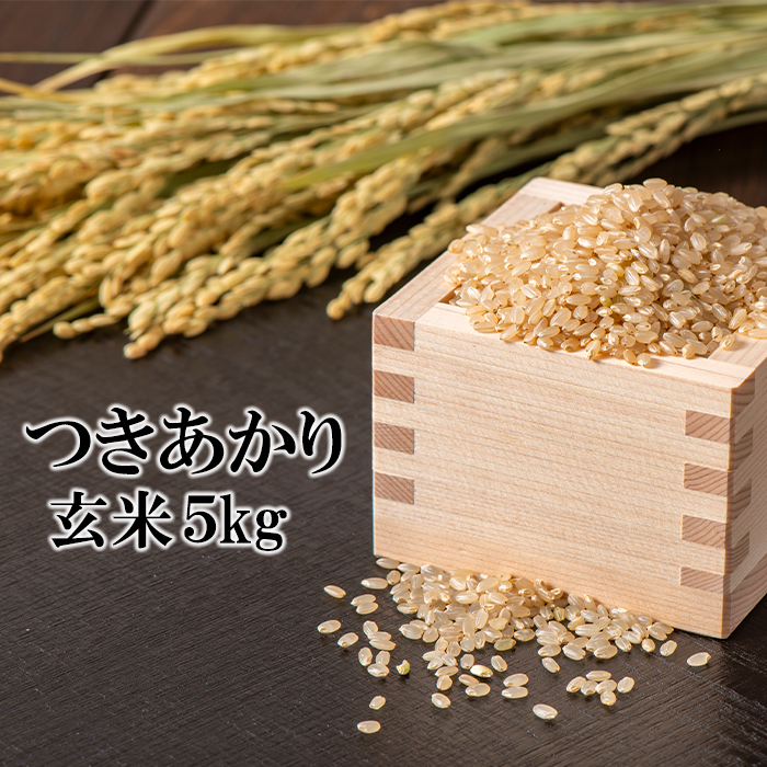 BO-021-E つきあかり 玄米 5kg ／ かきのうえ