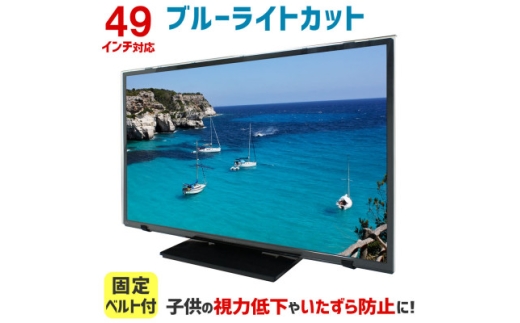 49MBL5　49インチ用　テレビ画面保護パネル　ブルーライトカットタイプ　位置調整用スペーサー付【1669387】
