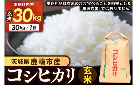 【先行予約】 新米 コシヒカリ 米 30kg 玄米 ブランド米 数量限定 国産 おむすび おにぎり 弁当 美味しい グルメ 飯 ごはん ご飯 コメ おこめ こめ ※ okome kome 朝食 贈答 贈り物 お取り寄せ 産地直送 ギフト こしひかり 鹿嶋市産 令和8年産 茨城県 鹿嶋市 【10月以降順次発送】