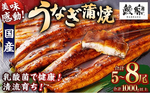 
                  国産うなぎ！＜うなぎ 国産 うなぎ蒲焼 5～8尾 計1kg以上＞ふるさと納税 うなぎ 高級 長蒲焼 鰻 夏バテ防止 ウナギ 鰻 かば焼き 蒲焼き 丑の日 タレ 宮崎県産 国産 九州産 宮崎県 高鍋町 送料無料【TVで話題沸騰！】
                
