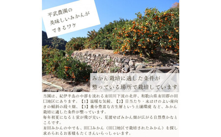 農家直送！きよみオレンジ 5kg 訳あり≪サイズ混合≫［平武農園］～蛍飛ぶ町から旬の便り～［2026年3月下旬から順次発送予定］