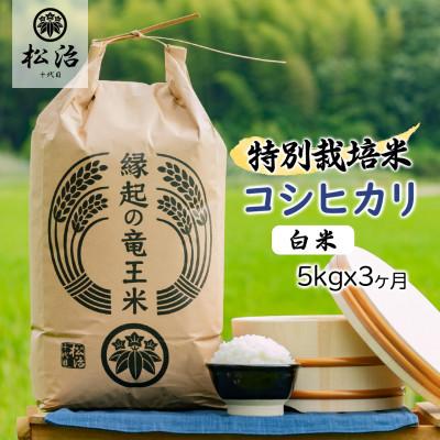 ふるさと納税 竜王町 【毎月定期便】特別栽培米コシヒカリ 白米5kg×3ヶ月 縁起の竜王米全3回