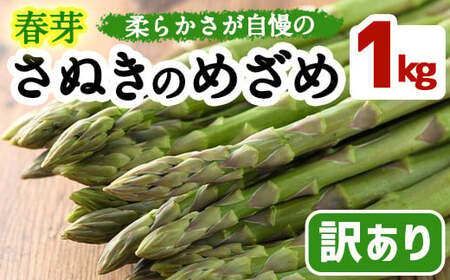 ＜先行予約！2027年3月上旬以降順次発送予定＞＜訳あり・家庭用＞春芽！アスパラガス「さぬきのめざめ」(約1kg) 香川県 国産 野菜 アスパラ 新鮮 冷蔵便 【man118】【Aglio nero】