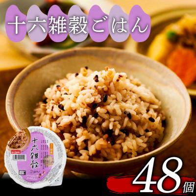 ふるさと納税 松原市 ご飯パック 十六雑穀ごはん 160g×48個