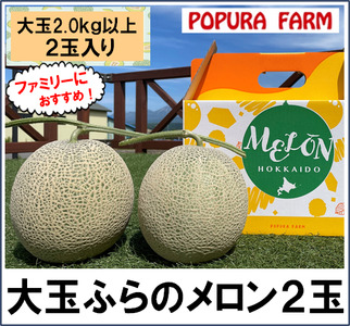 【2025年発送】【ポプラファーム】富良野メロン大玉2玉（計4㎏以上秀品）【BC-004】