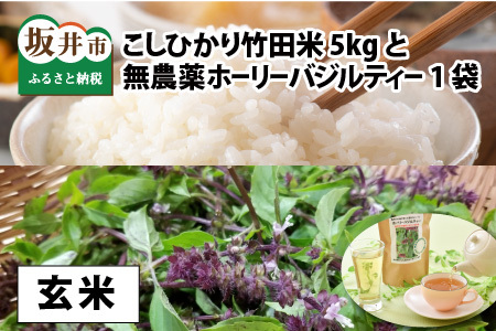 【先行予約・令和8年産新米】福井県産 清流こしひかり 竹田米 5kg と 竹田産無農薬ホーリーバジルティー（玄米）【2026年9月下旬以降順次発送予定】 [A-7422_02]