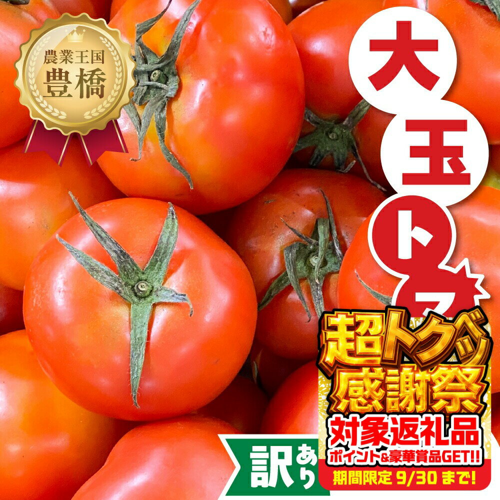 【ふるさと納税】≪先行予約≫ 訳ありトマト 約1kg とまと トマト tomato 野菜 甘み サンドイッチ サラダ 訳あり 訳アリ わけあり ワケアリ 規格外 旬 旬の野菜 健康 愛知県 豊橋市