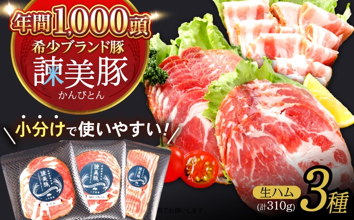 
                  諫美豚 生ハム＆生ベーコン 3種セット計4P / 豚肉 ぶたにく ハム はむ 生ハム ベーコン 生ベーコン ロース 肩ロース バラ 小分け / 諫早市 / 株式会社土井農場 [AHAD058]
                