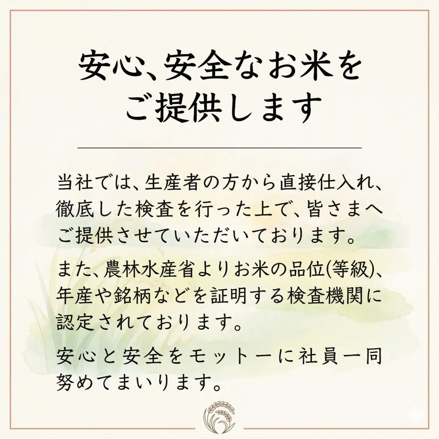 【令和7年産】スピード発送米 こしひかり 白米 20kg [A-rin004]
