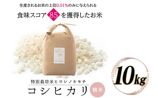 ≪先行予約≫特別栽培米 コシヒカリ ヒロシノキモチ 10kg 陽咲玲 米 お米 コメ 白米 精米 ご飯 ごはん 富山県産 富山県 立山町 F6T-808