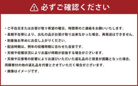 山形おきたま産ラ・フランス（秀） 14玉～18玉 （約5kg） ラフランス 洋梨 梨 フルーツ 果物 果実 常温 山形県 白鷹町 【2025年11月上旬～12月上旬順次発送予定】
