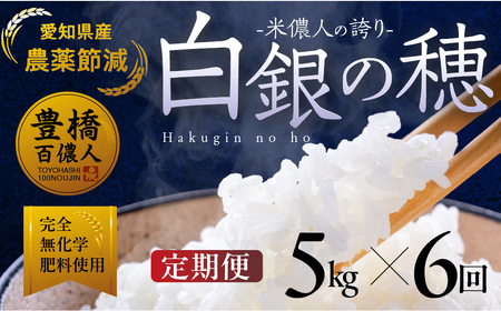 【定期便】米儂人の誇り 白銀の穂 5kg×6回 お米お米お米お米お米お米 定期便定期便定期便定期便定期便