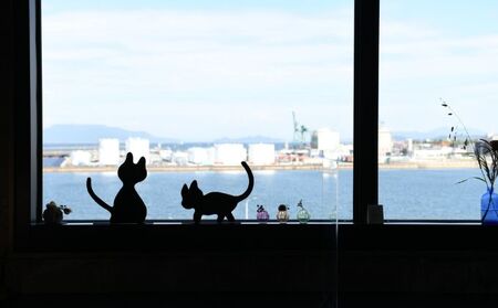 ブルーとティアラのオーナメント（A）ブルーとティアラ インテリア 置物 ガーデンオーナメント 黒猫 猫柄 猫好き 窓辺 ニッチ 可愛い 錆びない アルミ製 玄関アプローチ 猫の置物 