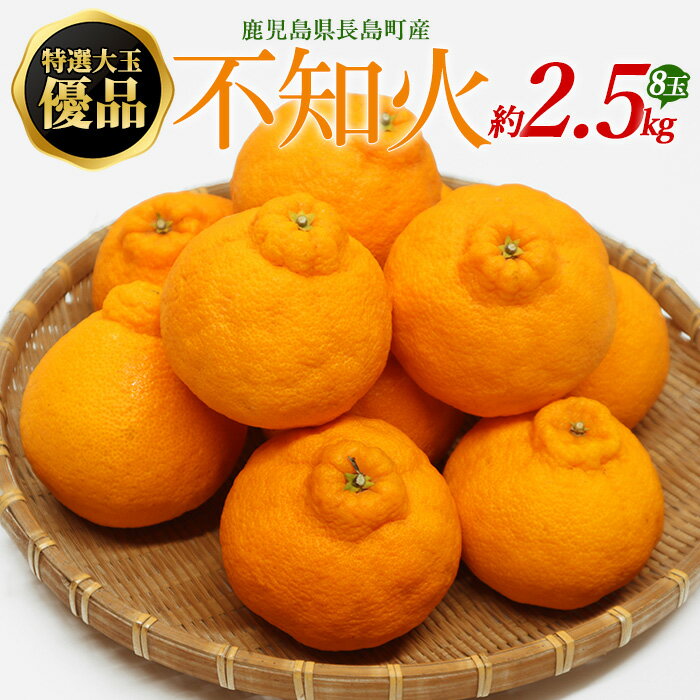 【ふるさと納税】【先行予約】特選大玉 優品不知火 8玉入り約2.5kg【山上農園】yamagami-773R7
