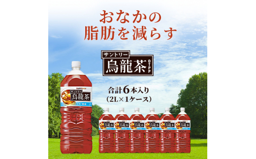 
サントリー烏龍茶OTPP（機能性表示食品）2L×6本 ペットボトル
