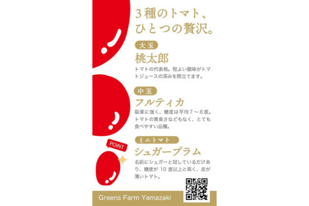 トマトジュース Greens Farm Yamazaki　朝日のトマトジュース6本セット | 1L トマトジュース トマトジュース トマトジュース トマトジュース トマトジュース トマトジュース [0