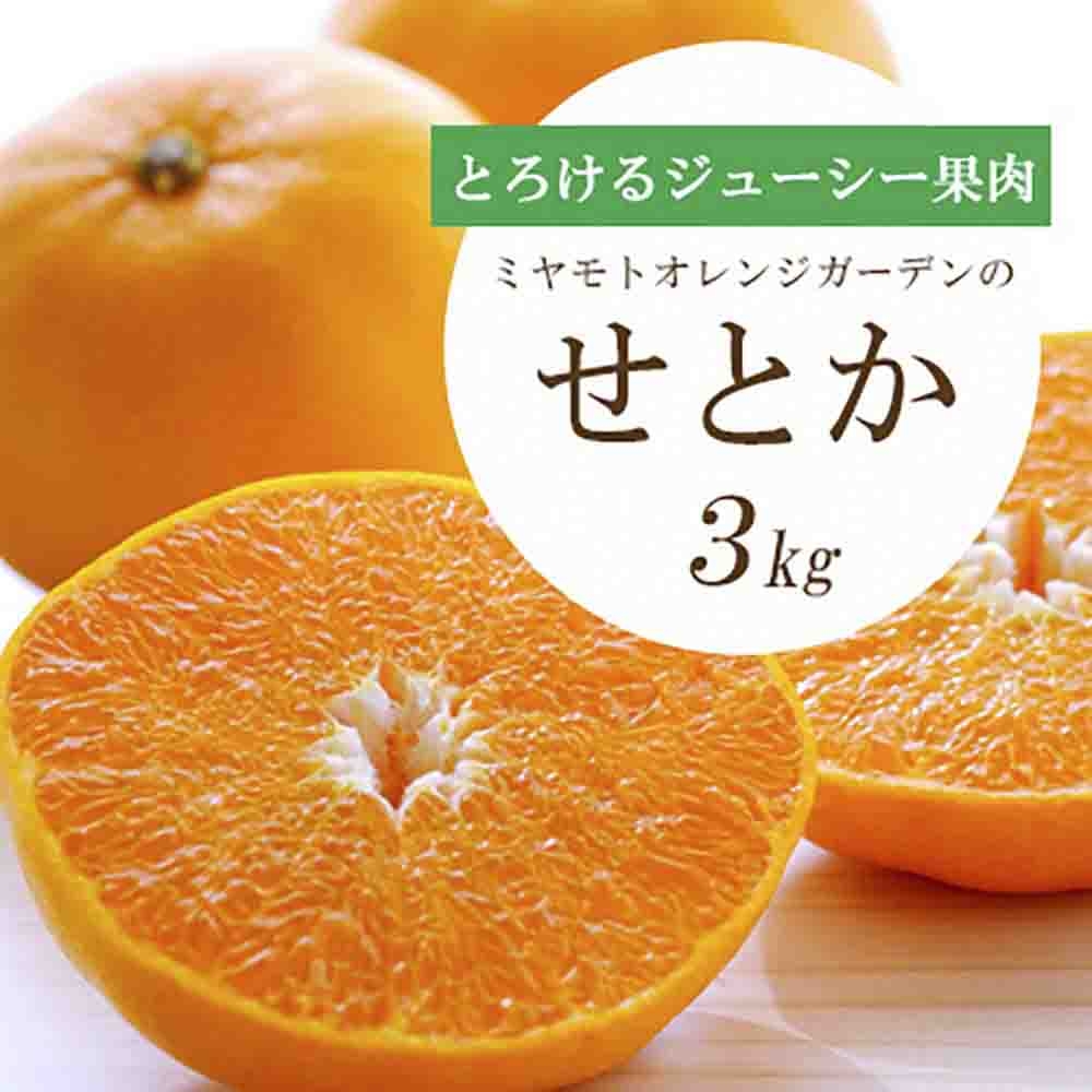 
                  とろける濃厚柑橘 せとか 3kg 愛媛県八幡浜産＜E25-9＞【1268365】 YWTAP005
                