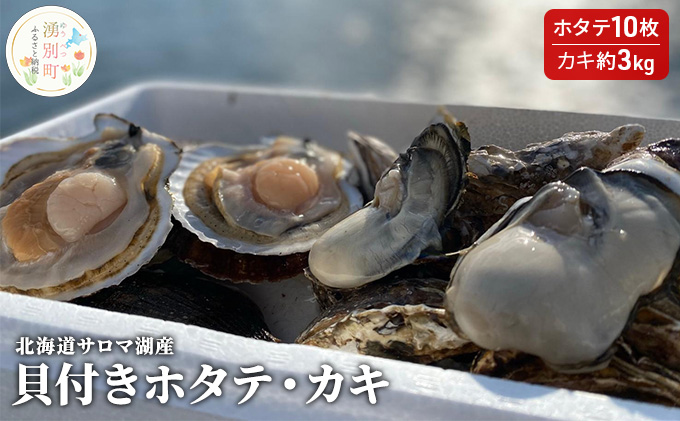 【国内消費拡大求む】先行予約 北海道サロマ湖産　貝付きホタテ10枚・カキ約3kg 魚貝類 生牡蠣 かき 牡蠣 帆立 ほたて 