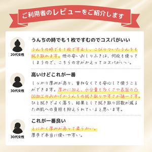 ピジョン　おしりナップ プレミアム極上厚手 50枚6P×6個  ベビーオイル配合 おしりふき ウェットティッシュ ベビー用品 おしりふき ティッシュ 日用品 ウェットティッシュ アルコール不使用 ノン