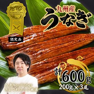 きまぐれクック厳選 うなぎ 国産 3尾 (約600g) 九州産 手焼き 鰻 蒲焼き [a1000] 夏ギフト お中元 【返礼品】福岡県 添田町 ふるさと納税