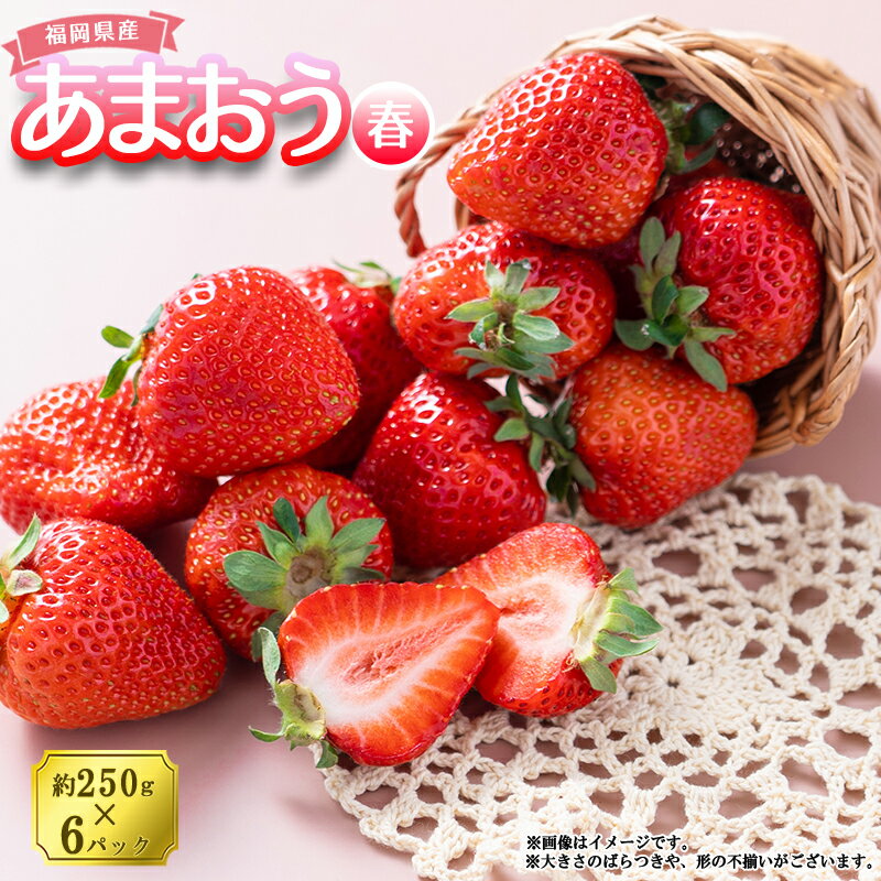 【ふるさと納税】 【先行予約／2027年出荷】 春 お届け 福岡産 あまおう 6パック いちご イチゴ 苺 ベリー ビタミン 博多 高級 デザート 果物 くだもの フルーツ ジャム ケーキ にも 送料無料 数量限定 福岡 赤村 4A4