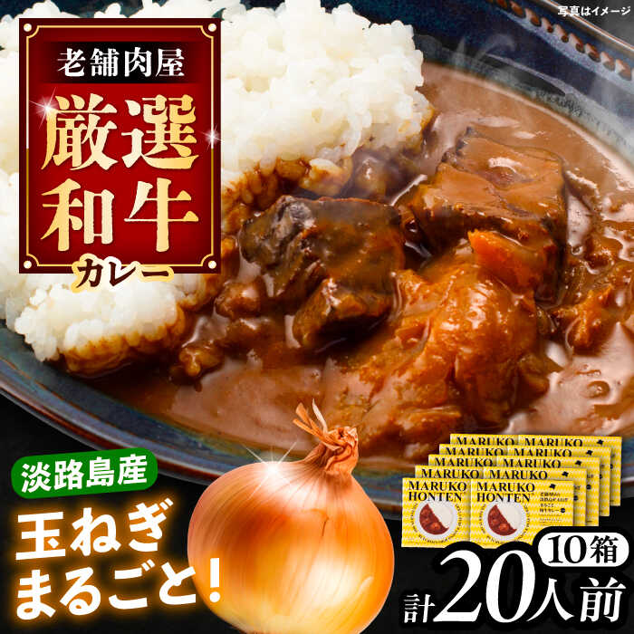 【ふるさと納税】丸小本店 老舗肉屋の淡路島産の玉ねぎまるごと和牛カレー 2人前450g×10個セット レトルト ビーフカレー 国産牛 恵那市 / テンポイント[AUFN016]