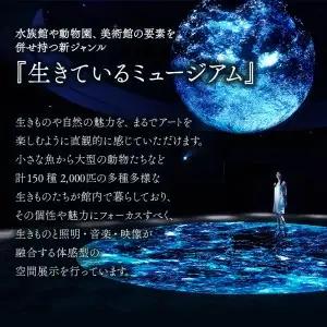 【大人2枚】生きているミュージアムNIFREL入館券