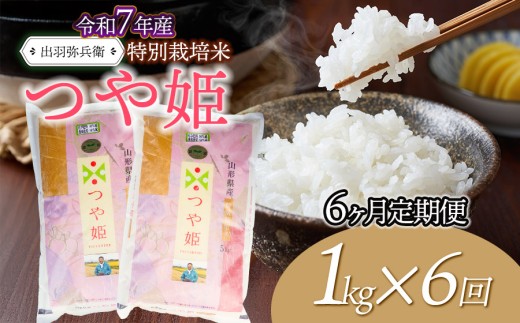 【令和7年産】【定期便6ヶ月】特別栽培米 つや姫 【白米】 1kg×6ヶ月　山形県鶴岡市産　出羽弥兵衛