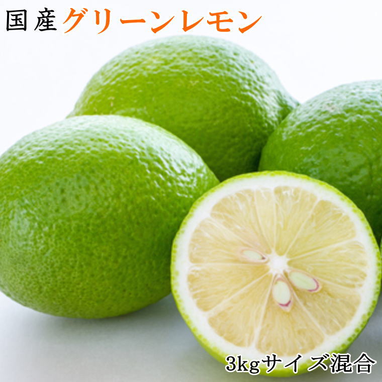【ふるさと納税】【産直】和歌山産グリーンレモン約3kg（サイズ混合）※2025年10月中旬～2025年11月中旬頃より順次発送予定（お届け日指定不可）