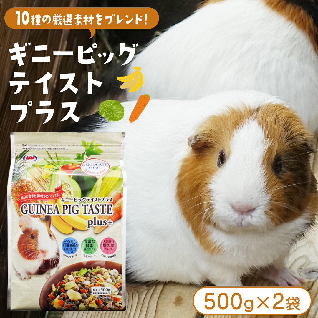 【ふるさと納税】ギニーピッグ テイストプラス 500g × 2袋 ギニーピッグ モルモット 小動物用フード ペットフード おやつ ビタミンC
