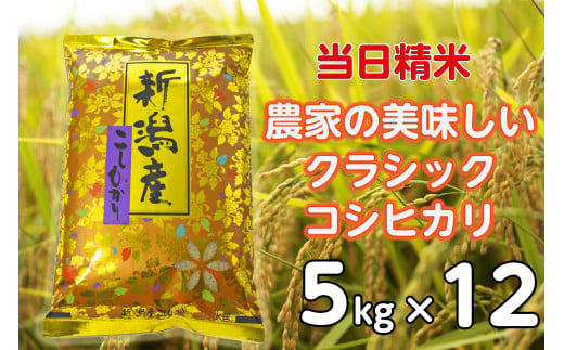 【令和6年産新米】【12ヶ月定期便】 当日精米! 農家直送 美味しい クラシックコシヒカリ 5kg×12回 計60kg 精米 白米 水原町農産センター 1F29137