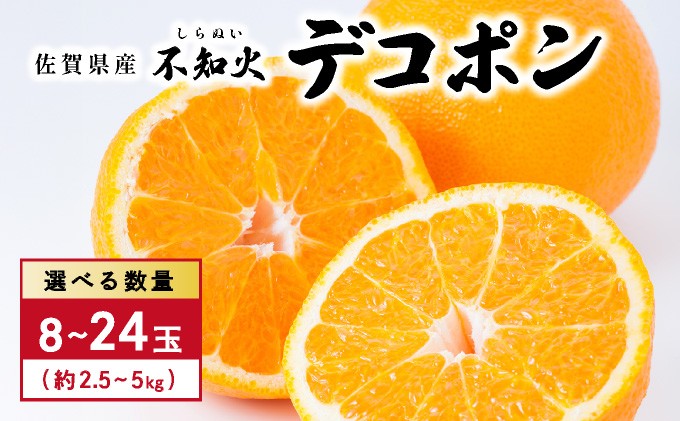
                  ＜選べる容量＞佐賀産 デコポン 8～24玉／ふるさと納税 佐賀 フルーツ濃厚 甘い 酸味 大町 贈答 ギフト 贈り物
                