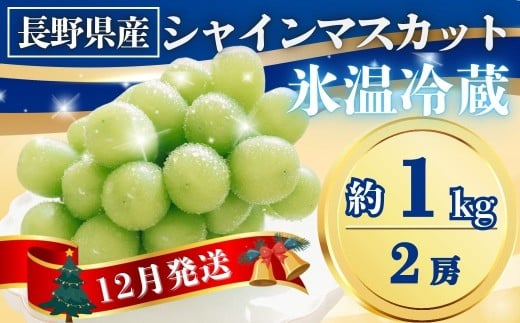 【2026年先行予約】氷温貯蔵シャインマスカット 約1kg(2房)｜果物 フルーツ 白ぶどう 葡萄 ブドウ 種無し 種なし 皮ごと 千曲市 長野県 信州
