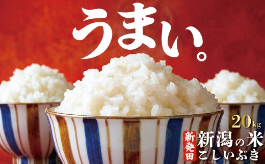 【令和8年産先行予約】こしいぶき 20kg コシヒカリ こしひかり 遺伝子を引き継ぐ ご飯 備蓄 コメ お米 米 こめ 新潟産 新潟米 新潟県 新潟 新発田 新発田市 国産 新発田市産 斗伸 toushin063_01
