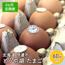 【ふるさと納税】【6ヵ月 定期便】 北海道 伊達市 とうや 卵 60個 入り たまご　定期便・ 鶏卵 食材 グルメ 食卓 エッグ 卵料理 卵かけごはん TKG 万能食材 ご飯のお供 朝食 朝ごはん 夜ごはん 夕飯