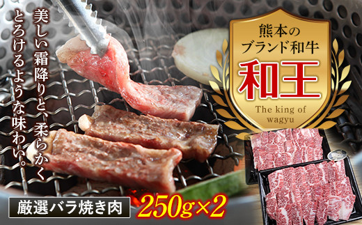 
FKK19-530 熊本和王 厳選バラ焼き肉 500g
