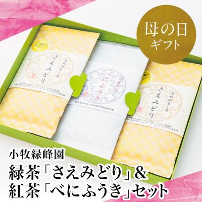 ふるさと納税 南さつま市 【母の日ギフト】【日本茶AWARD受賞】鹿児島緑茶と紅茶のセット(計250g)