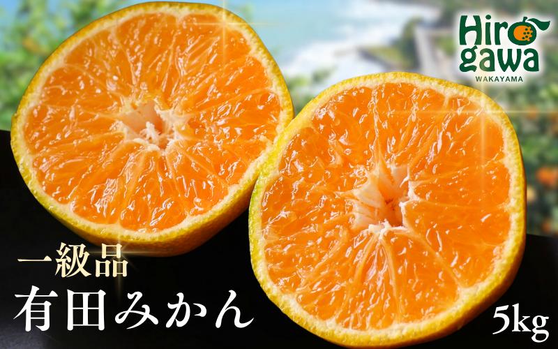 
            有田みかん 5kg / 和歌山 有田 広川 みかん ミカン 柑橘 果物 くだもの ギフト フルーツ 果実 ※1月上旬～翌年2月下旬頃に順次発送予定【hkt004-p-5】
          