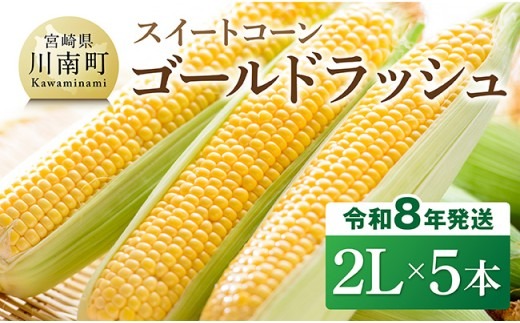 【令和8年発送】宮崎県産とうもろこし　スイートコーン「ゴールドラッシュ」2L×5本【新鮮 農家直送 トウモロコシ 産地直送 季節限定 期間限定 宮崎県産 九州産】[C09109]