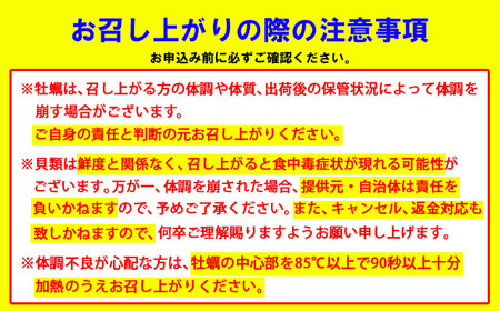 【先行予約】【2月配送】※指定日必須※ 天然 有明海産 住之江 冷蔵牡蠣 殻付き スミ☆スター 2キロ B120-047-02