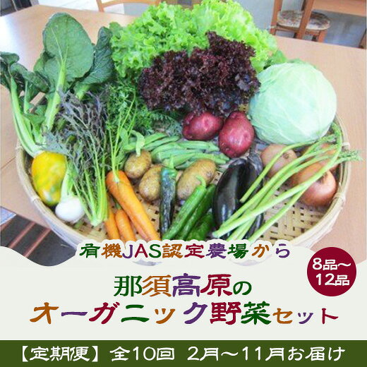 【ふるさと納税】【定期便】楽天限定 有機JAS認定農場からの那須高原のオーガニック野菜セット（月1回／2月～11月／全10回）｜野菜 お野菜 やさい 詰め合わせ 美味しい 有機JAS 那須 栃木県 那須町 ※離島への配送不可 ※2027年2月上旬～11月下旬頃に順次発送予定〔P-268〕