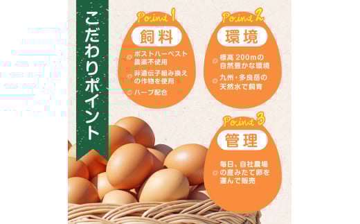 RA-1 たまご家のハーブ卵（笑顔）30個 6ヵ月定期便