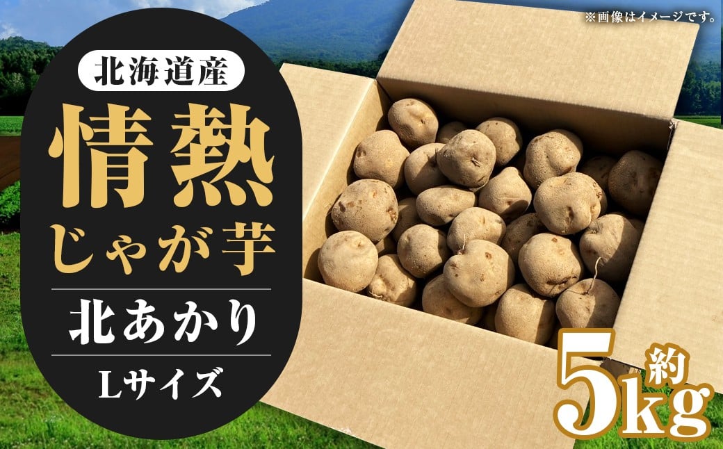 
            【先行受付】北海道産 情熱じゃが芋（北あかり） Lサイズ 計約5kg 株式会社マルエイ商事 じゃがいも じゃが芋 ジャガイモ 芋 いも イモ 国産【2025年10月下旬～2025年12月上旬迄発送予定】
          