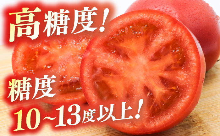 濃厚!徳谷トマト約2.0kg 箱詰 生産者指定なし 厳選上級品 元木青果 ＜2025年1月下旬以降発送＞ 【グレイジア株式会社】 [ATAC323]