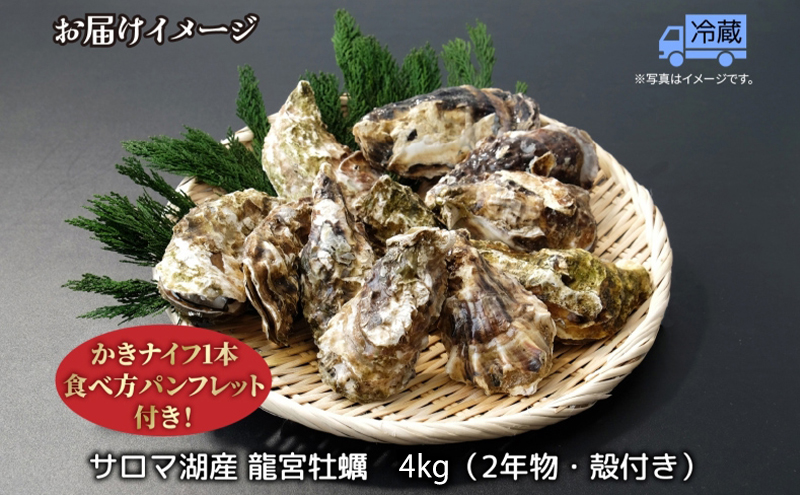 北海道 サロマ湖産 龍宮牡蠣 4kg（ 2年物 殻付き カキ ）カキナイフ付 牡蠣 海鮮 魚介 国産 貝付き 生牡蠣 生食 焼き牡蠣 蒸し牡蠣 冷蔵 産地直送 オホーツク
