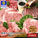 【ふるさと納税】【定期便4回】総重量2.4kg！椎葉牛 大自然の中で味わう焼肉・BBQ定期便【A5等級指定 黒毛和牛】≪焼き肉・ステーキ・切り落とし・ローストビーフ≫【TK-63】｜ 定期便 牛 肉 人気 黒毛和牛 和牛 国産牛 国産 ブランド牛 A5等級 プレゼント 定期便 定期｜