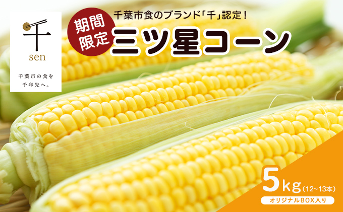 【期間限定】三ツ星コーン【千ブランド】 野菜 夏野菜 とうもろこし ギフト 贈り物 食卓 食べ物 当日朝収獲 当日出荷